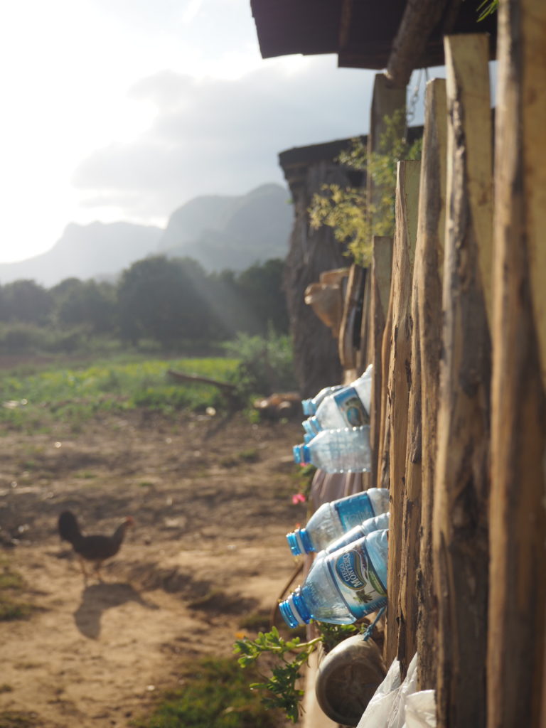 Sustainable agriculture in Cuba